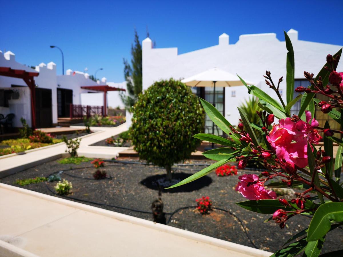 Bungalow Tranquillo E Soleggiato Caleta de Fuste Extérieur photo